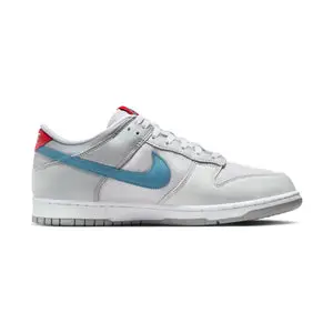 Nike Dunk Low 'Silver Surfer' Men's Shoes 913D7222